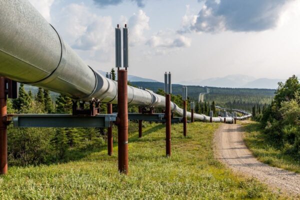 An image of the Trans Alaska Pipeline System
